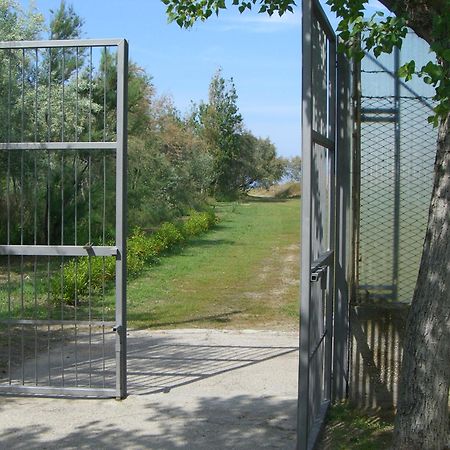 Camping & Residence Il Pioppeto فاستو المظهر الخارجي الصورة