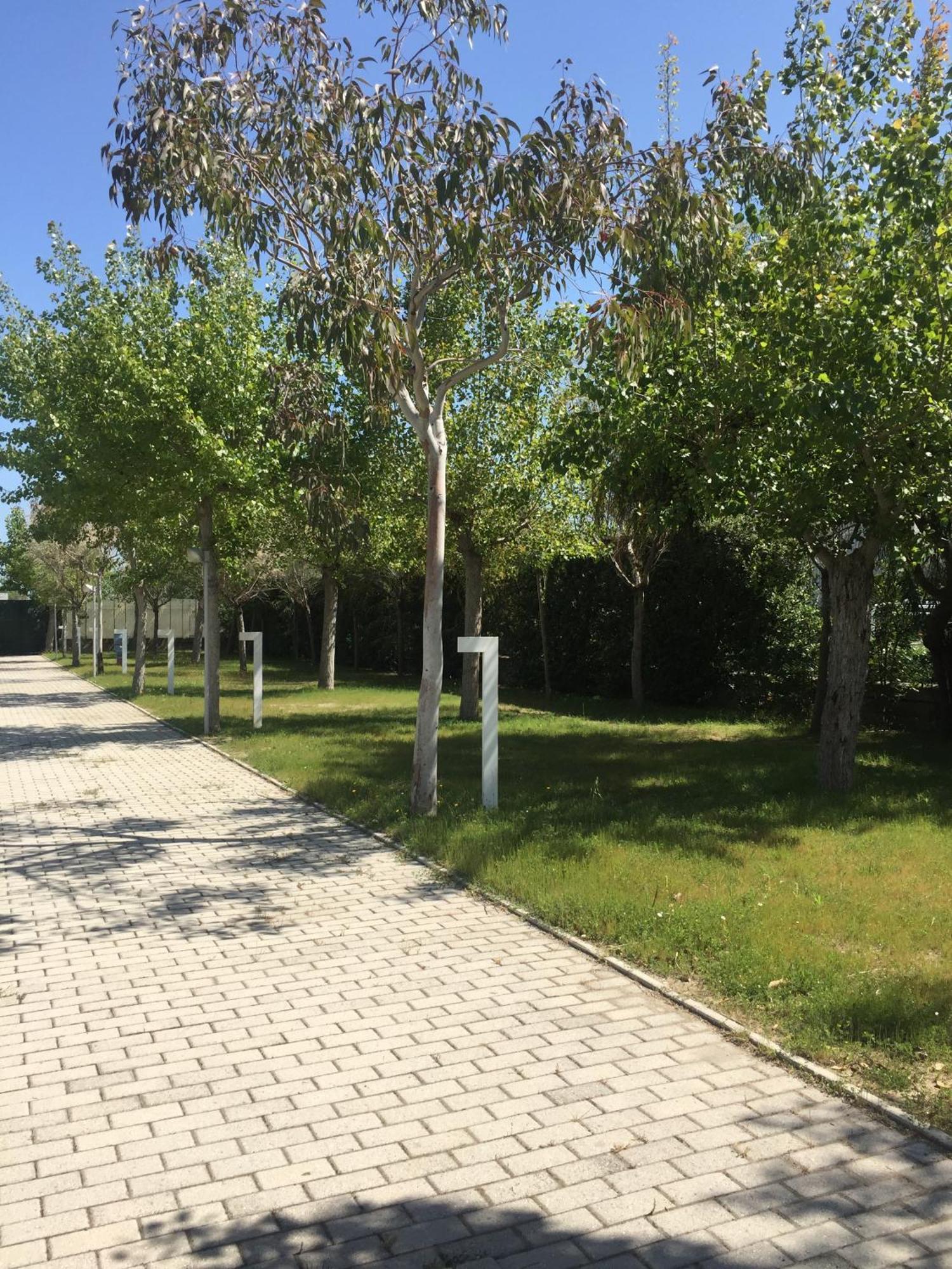Camping & Residence Il Pioppeto فاستو المظهر الخارجي الصورة